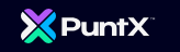 PuntX